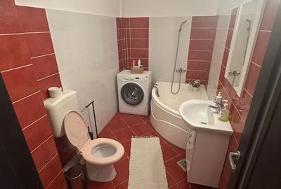 Apartament cu 2 camere în Ostroveni - 8