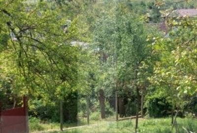 Blitz va ofera spre vanzare casa cu teren generos in Covasant - 5
