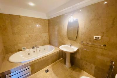 Penthouse Herastrau - 9