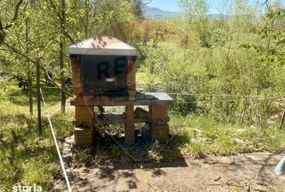 Casă cu 3 camere cu Teren 6039 Mp în Desești - 2