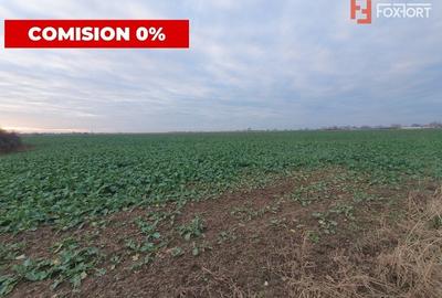 COMISION 0% Teren extravilan 20.000 mp la sosea in Sag - 1