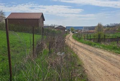 Spațiu comercial, în Alexandru cel Bun - 2