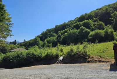 Teren de 3533 mp, în Exterior Vest - 8