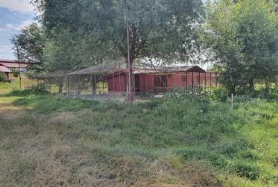 Fermă zootehnică utilată, 1000 m² construiți, comuna Dulceanca, Teleorman - 4