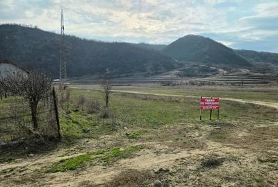 Teren Construcții intravilan de 1250 mp, în Vernești - 3