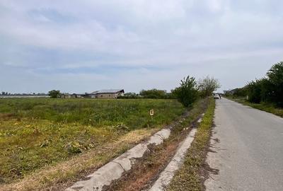 Teren de 1169 mp, în Cornetu - 3