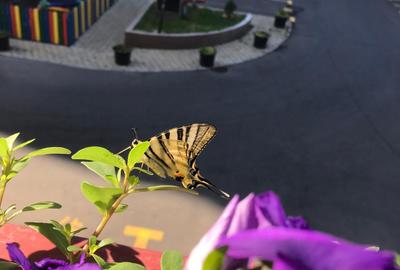 Garsonieră semidecomandată, mobilată în Prelungirea Ghencea - 14