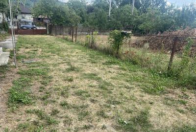 Casă cu 3 camere în Copăceni - 8