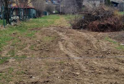 Spațiu comercial, în Bran - 6