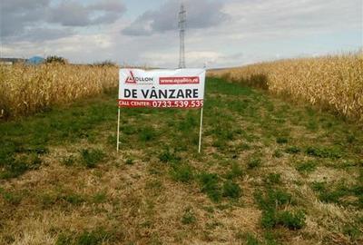 Teren Construcții intravilan de 6200 mp, în 9 Mai - 2