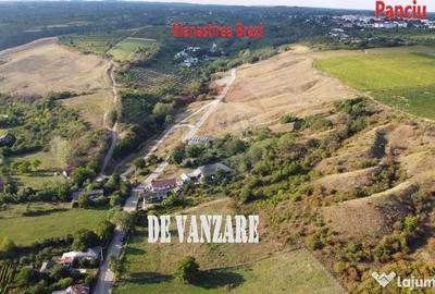 Teren de 4267 mp, în Satu Nou (Panciu) - 7