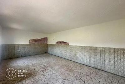 Teren intravilan 71.000mp, Barsa, Renumita Fabrica de caramida si casa 4 camere - 8