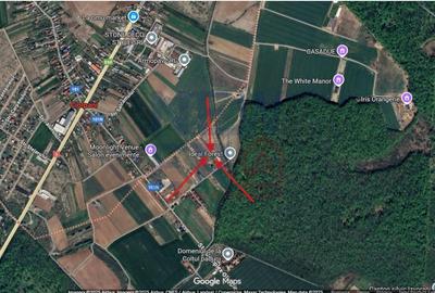 Teren Construcții intravilan de 1650 mp, în Ciolpani - 3