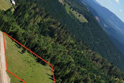 Teren de 3500 mp, în Tiha Bârgăului - 8