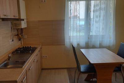 Apartament cu 2 camere decomandat în Lazaret - 4