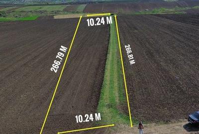 Spațiu comercial, în Criș - 8