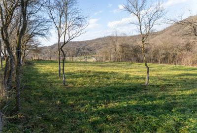 Casa de vanzare in Bozed, judetul Mures, renovata, cu sura si teren cu livada - 9