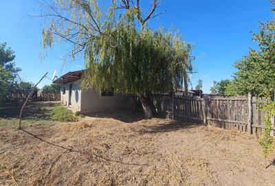 Teren de 16500 mp, în Nord-Vest - 1