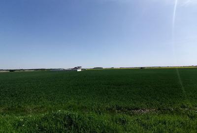 Teren intravilan 9313 mp in comuna 1 Decembrie - Ilfov - 2