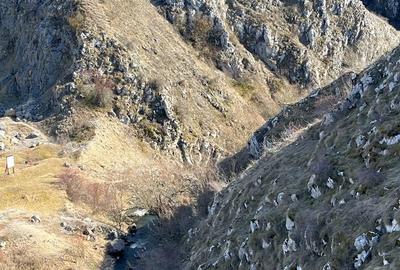 Teren de 449.03 mp, în Tureni - 1