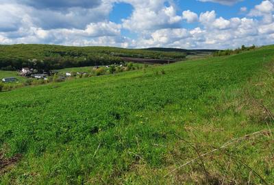 Spațiu comercial, în Ivănești - 3
