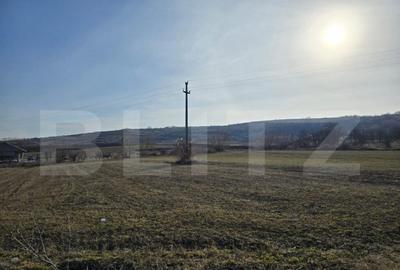 Teren extravilan de vanzare, 1.113 mp, zona-Valea Chintaului - 3