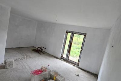 Casă cu 2 camere cu Teren 30000 Mp în Valea Leșului - 4