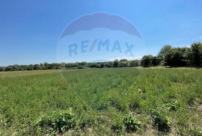 TEREN  INTRAVILAN  5000mp ORAS CISNADIE  STR. SELIMBARULUI - 1