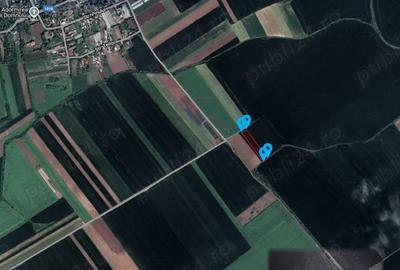 Teren de 53211 mp, în Merii Petchii - 3