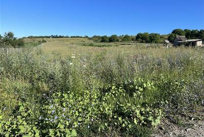 Teren Construcții intravilan de 8700 mp, în Pata - 2