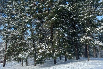 Spațiu comercial, în Teslui - 2