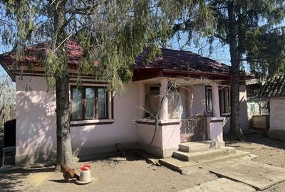 Casă cu 3 camere în Ștefănești - 1