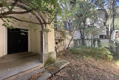 Apartament spatios in vila deosebita - zona Gradina Icoanei - 5
