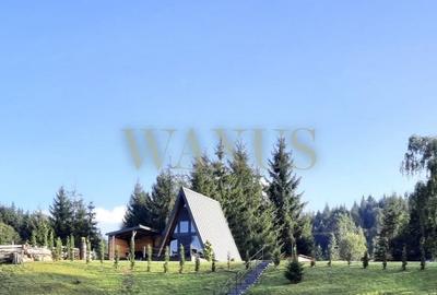 Teren 34,5 ari + cabana A-frame Colibita – ideal pentru resort, spa sau pensiune - 2