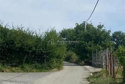 Teren de 2455 mp, în Rășinari - 9