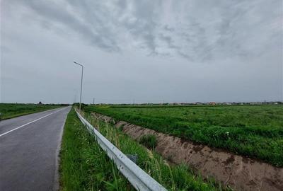 Teren intravilan in apropiere de Via Carmina, Vladimirescu - 3