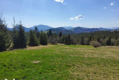 Teren de 2200 mp, în Tiha Bârgăului - 1