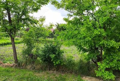 Casă cu 4 camere cu Teren 1068 Mp în Central - 2