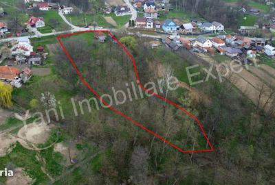 Casă cu 2 camere cu Teren 5800 Mp în Valea Danului - 5