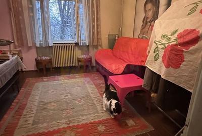 Apartament cu 4 camere semidecomandat în Ferdinand - 12