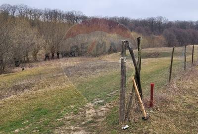 Teren 2925 mp comuna Mitocu Dragomirnei - 4