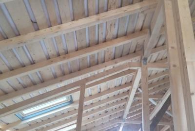 Casa Iedera de Sus | Dambovita - 7