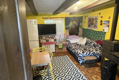 Vand casa ,sat Archita - 4