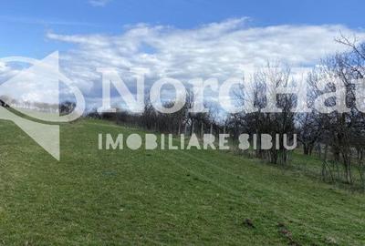 Spațiu comercial, în Rășinari - 5