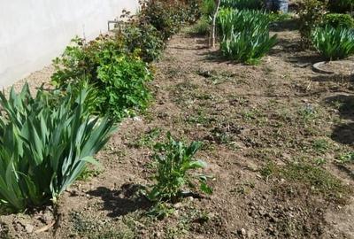 Duplex cu 5 camere cu Canalizare în Macea - 4