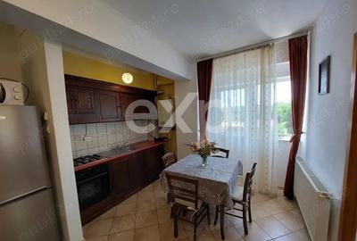 Apartament cu 3 camere semidecomandat, mobilat în Prundu - 2