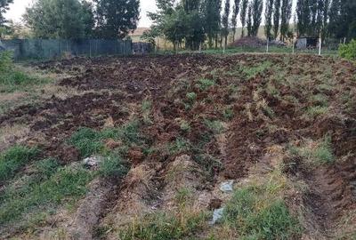 Casă cu Teren 1465 Mp în Dulceanca - 6