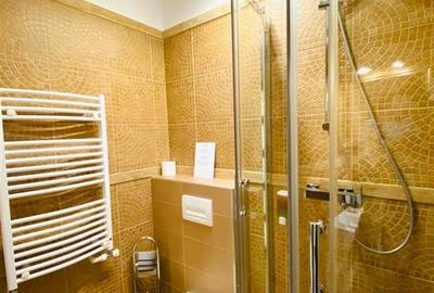 Studio de LUX cu balcon zona Centrala - 7