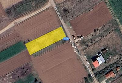 Teren agricol intravilan de 1000 mp, în Moara Vlăsiei - 5