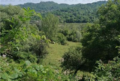 Teren 11230 m.p. Conac - necesita renovare - 2